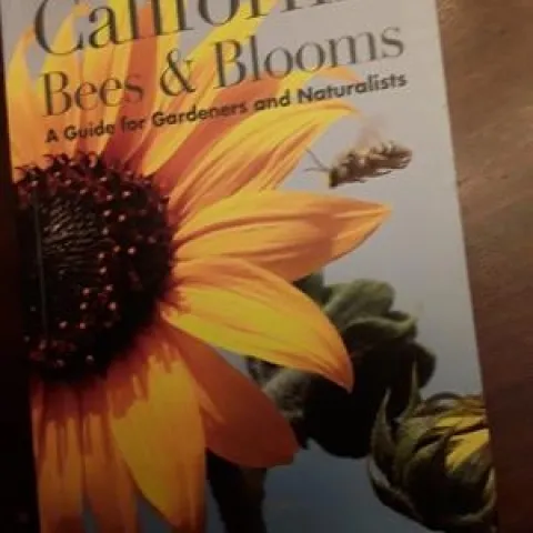 california bees and blooms cover