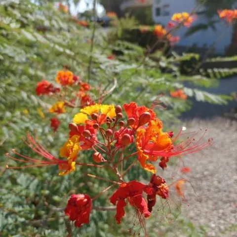 photos by Jenni Dodini