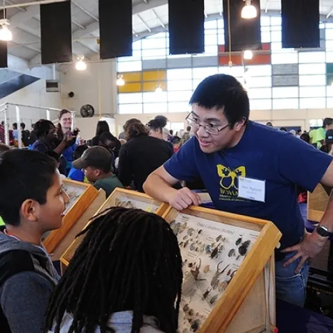 The Bohart Museum's display cases travel throughout Northern California. Here entomologist Alexander Nguyen, a UC Davis entomology graduate, volunteers at the 2017 Solano County Youth Ag Day, held on the Solano County Fairgrounds. (Photo by Kathy Keatley Garvey)