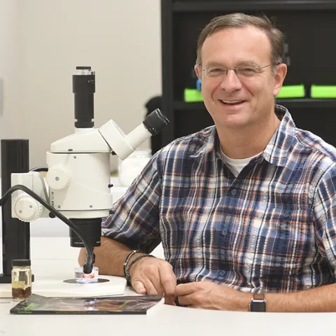 Jason Bond,professor of entomology and the Evert and Marion Schlinger endowed chair in insect systematics, UC Davis Department of Entomology and Nematology, is a newly selected co-editor-in-chief of the journal Insect Systematics and Diversity (ISD), published by the Entomological Society of America (ESA). (Photo by Kathy Keatley Garvey)