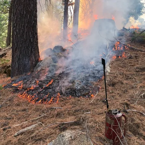 A torch sits in the foreground as flames blacken low, dry vegetation.