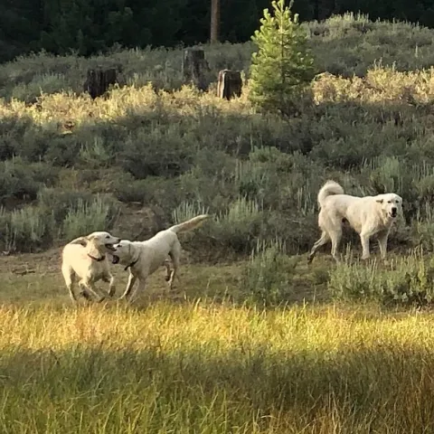 E90C09C8-EE3D-4157-A324-4568F344E73D