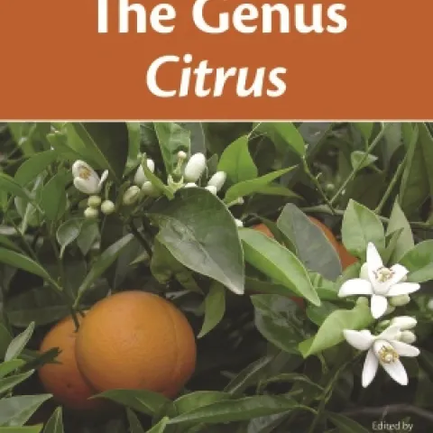 Genus Citrus