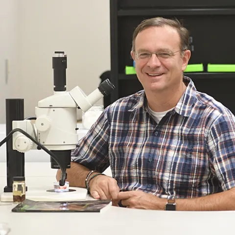 Jason Bond, Associate Dean for Research and Outreach for Agricultural Sciences, UC Davis College of Agricultural and Environmental Sciences (Photo by Kathy Keatley Garvey)