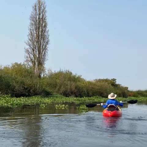 Paddling the delta