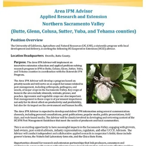 Position announcement #21-31