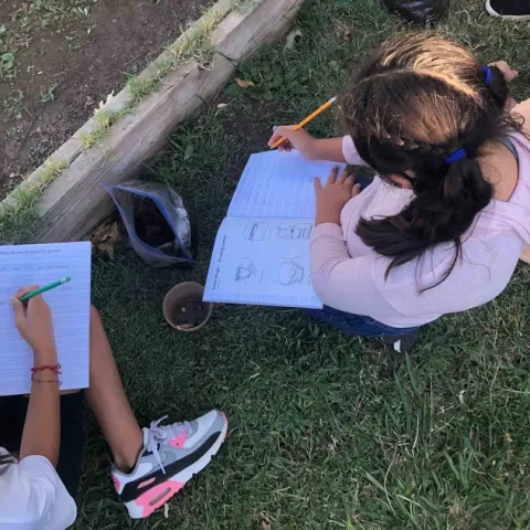 Kids sketching seeds growing - Little Chico Creek Elementary, Karina Hathorn