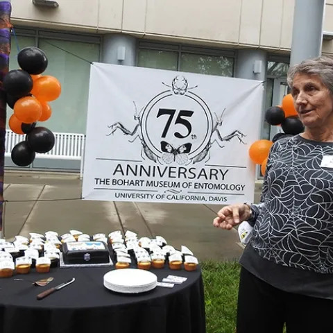 Lynn Kimsey, director of the Bohart Museum of Entomology, talks to the crowd before cutting the cake. (Photo by Kathy Keatley Garvey)