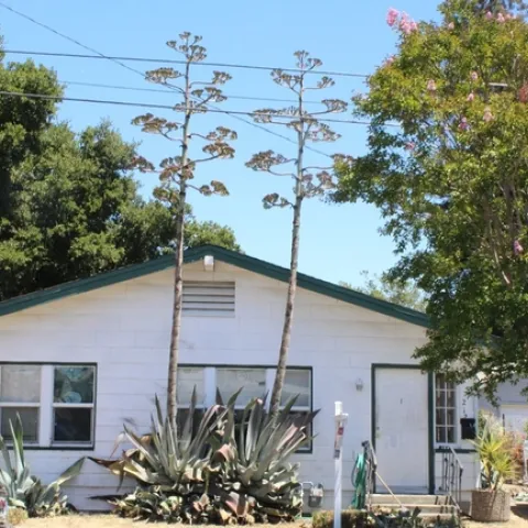 photos by Brenda Altman