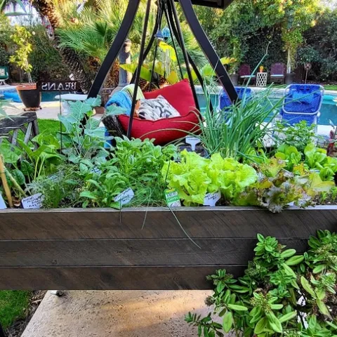 Outdoor Salad Bar - photos by Al Alvarado