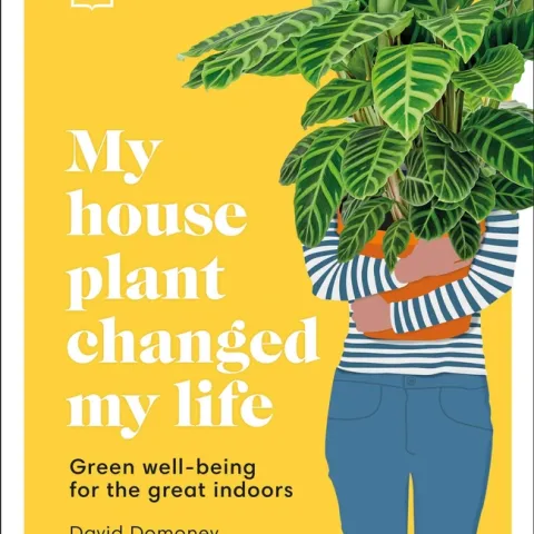 my houseplant changed my life cover