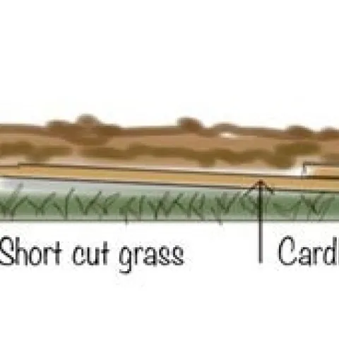 Sheet composting layers. (kcet.org)jpg
