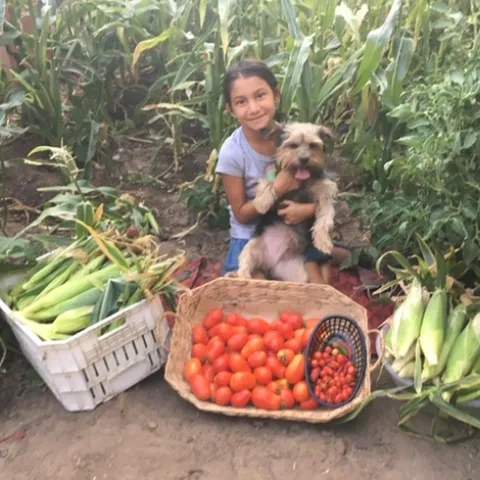 Gardens promote health
