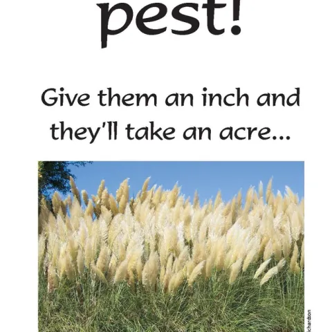 Don't plant a pest! (cal-ipc.org)