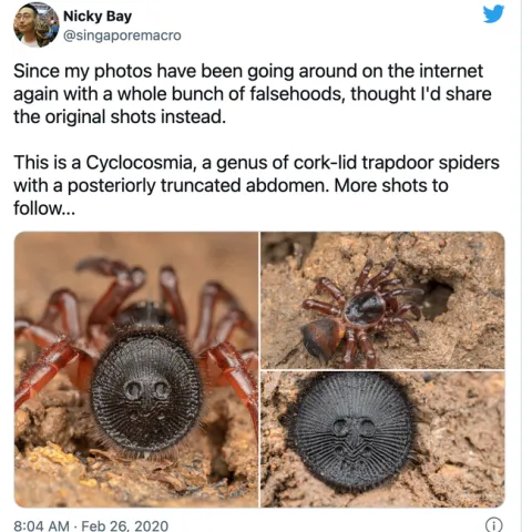 Nature photographer Nicky Bay countered the Facebook post with this tweet. (Screen shot)