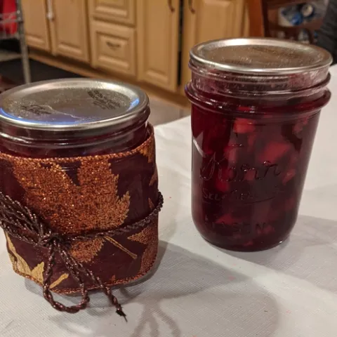 Two glass jars, one gift wrapped, the other showing fruit floating in a red liquid.