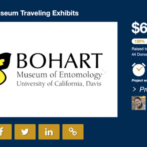 The Bohart Museum of Entomology surpassed its goal of $5000 and gratefully received $6000. (Screen shot)
