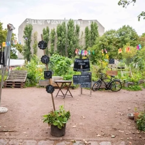 Urban garden management can play an important role in supporting species diversity and the provision of insect-mediated services, says ecologist Monika Egerer, an assistant professor at Technical University of Munich (TUM), Germany.