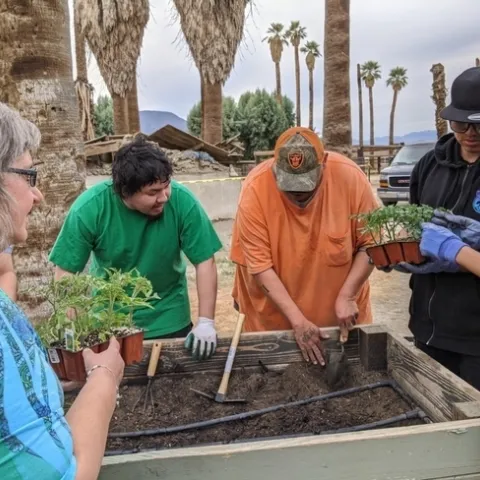 People hold green seedlings to plant.