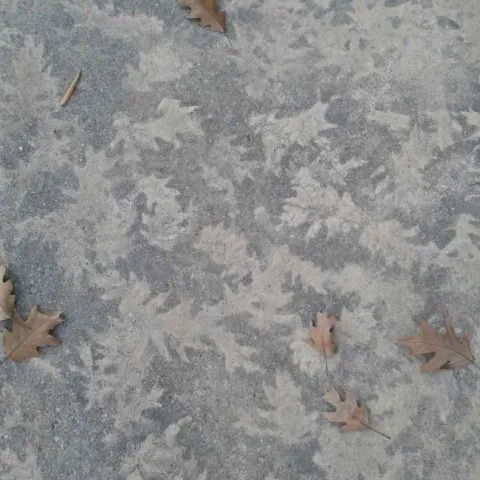 photos by Launa Herrmann