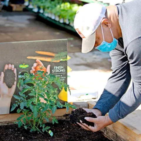 Man holding up soil preparing to plant