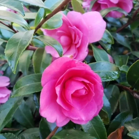 photos by Launa Herrmann