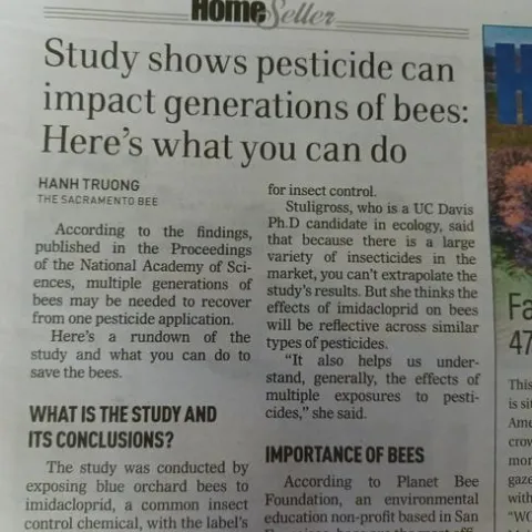 photo of paper by Jenni Dodini