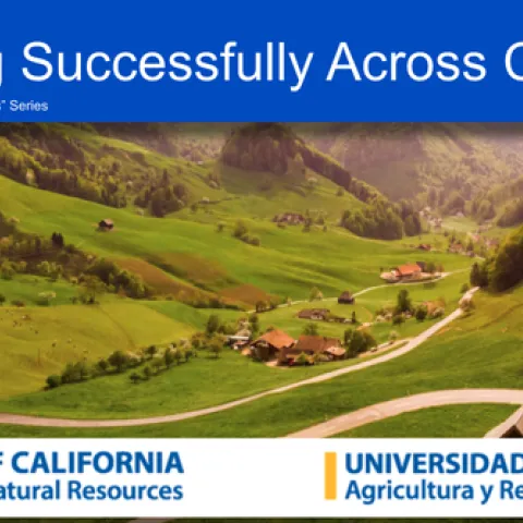 SI Brief be successful