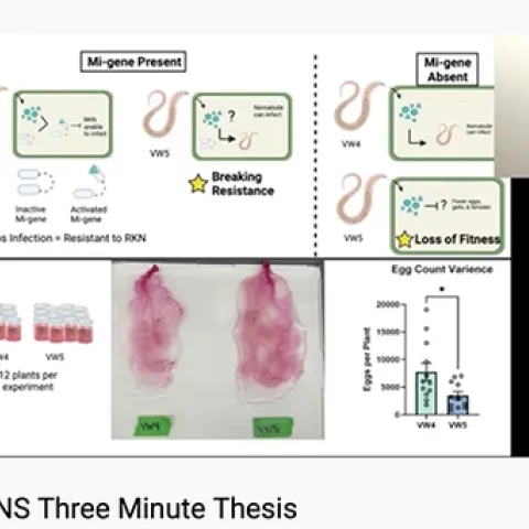 This is a screen shot of Alison Coomer's first-place presentation in the IFNS 3-Minute Thesis.