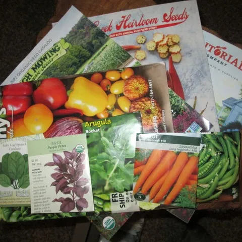 A pile of seed catalogs and seed packets.