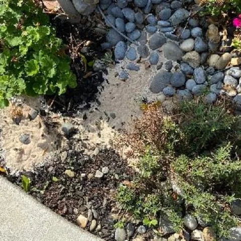 photo by Dave Bellamy