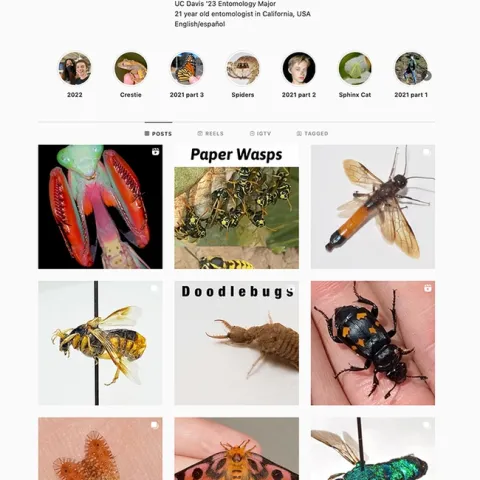 Gwen Erdosh's Instagram account; more than 22,000 fans follower her.