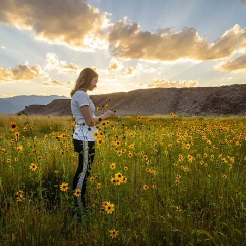 Blonde girl gazes down at a sunflower while standing in a field of sunflowers. Mountains and clouded skies in background.