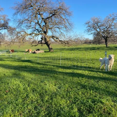 Photo Jan 25, 9 19 49 AM