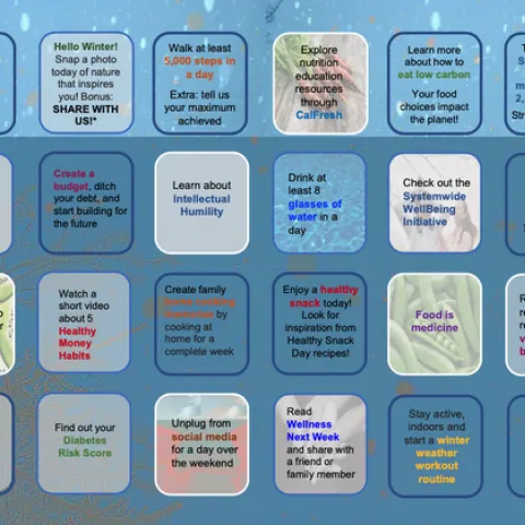 Card with 24 tiles containing wellness activities.