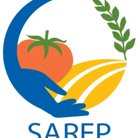SAREP brand logo
