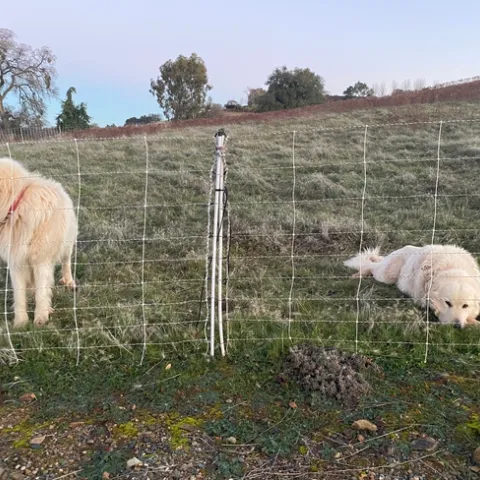 Photo Jan 25, 7 01 17 AM