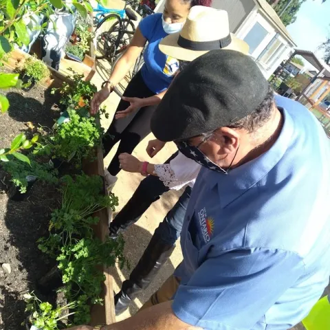 community garden photo feb 2022 blog