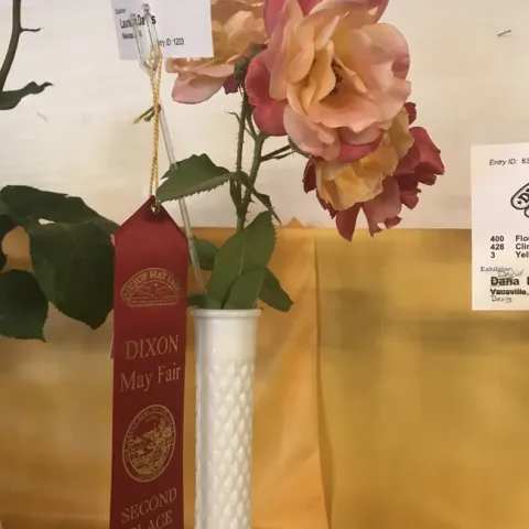 photos by Jennifer DeDora