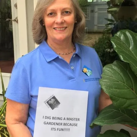 MG Picture Julie Dillon