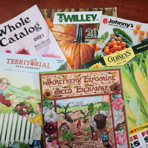 Seed catalogs. (extension.msstate.edu)