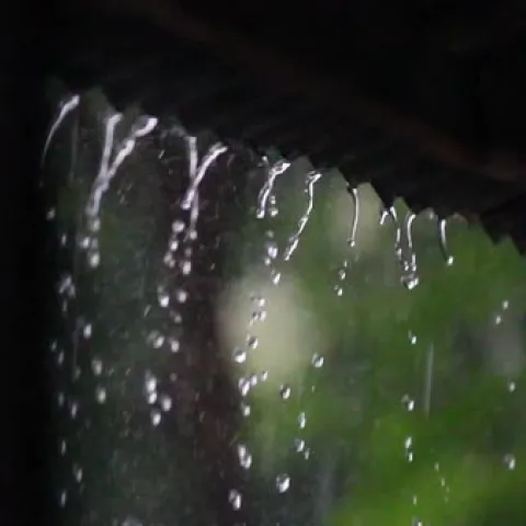 Capture that rain for irrigation. (dissolve.com)