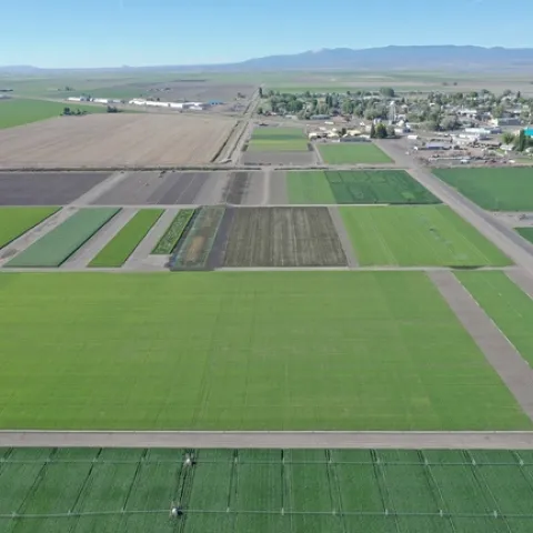 Green squares of crop land in foreground and unplanted brown land in upper left. Buildings dot the landscape in upper right.