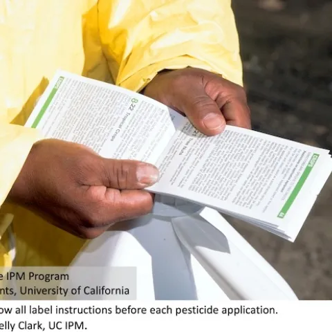 Read and follow all label instructions before each pesticide application. Photo: jack Kelly Clar, UC IPM