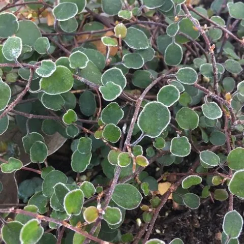 photos by Jennifer Baumbach