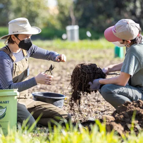 Urban Tree Stewardship (UTS) Learning by Leading™ Staff Mentor Abbey Hart (left) with UTS student team member Laia Menendez Diaz (right). (Photo courtesy of the UC Davis Arboretum and Public Garden)