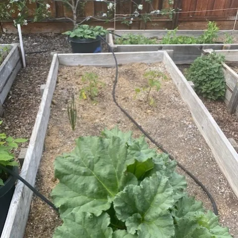 photo by Mike Gunther