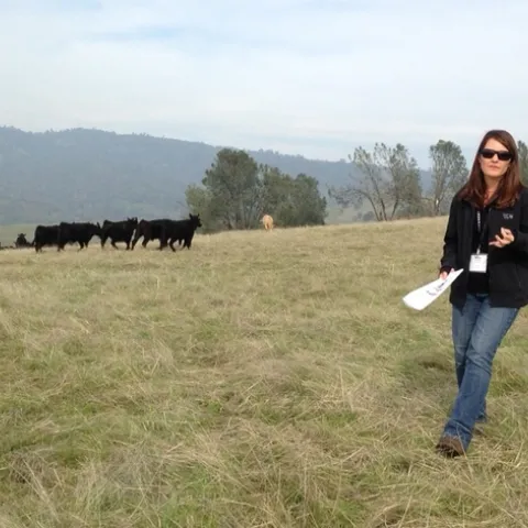 Leslie Roche, especialista de UCCE en pastizales en UC Davis, ayudará a los rancheros a adaptarse al cambio climático.