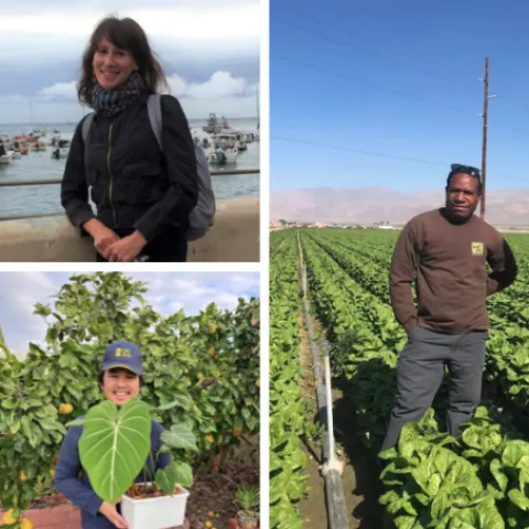 Help our new colleagues get off to a strong start and recruit more talented people to join UC ANR. From top clockwise: Recent hires Amira Resnick Philip Waisen Hung Doan