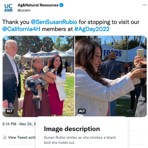 A Twitter post with photo description that reads: Susan Rubio smiles as she strokes a black bird she holds out.